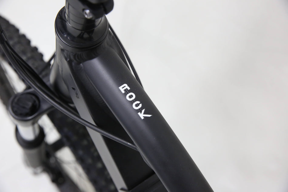 Bicicleta eléctrica Andantte Rock 350W